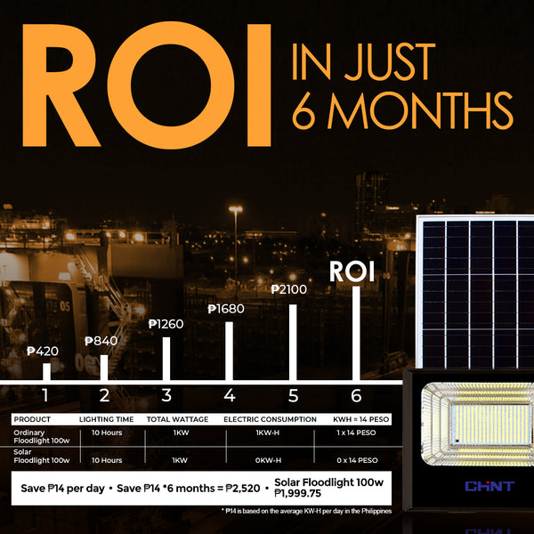 Chint Solar Floodlight 100Watts