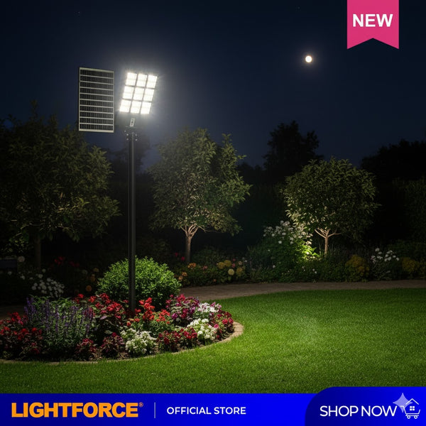 Chint Solar Streetlight 300Watts Daylight