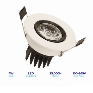 Lightforce Led Downlight XD01 1W 6500k